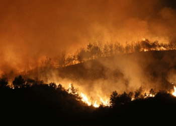 Hatay’da Çıkan Orman Yangınına Müdahale Devam Ediyor