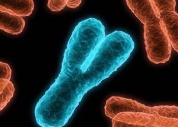 Bilim Dünyası Şokta: Y kromozomu yok oluyor Uyarısı Geldi