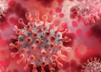 İngiltere’de yeni Maymun çiçeği varyantı: Sağlık Alarmı Verildi