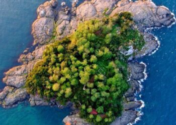 Giresun Adası Turizme Açılıyor: Mitolojik Ada Ziyaretçilerini Bekliyor