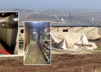 Şanlıurfa Kaçak Elektrik Operasyonunda Rekor Tüketim Yakalandı