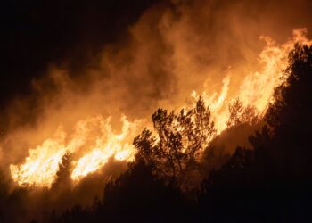 Gece saatlerinde ormanlık alanda devam eden büyük yangın ve alevler